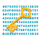 Google: протокол HTTPS будет более предпочтительным для поисковой выдачи.